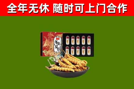 天元回收冬虫夏草价格